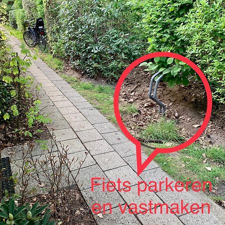 Wilde Moeflon, Geniet Van De Vrije Natuur! Otterlo Exterior foto