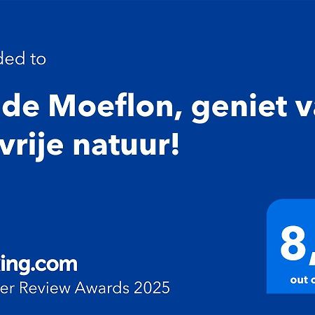 Wilde Moeflon, Geniet Van De Vrije Natuur! Otterlo Exterior foto
