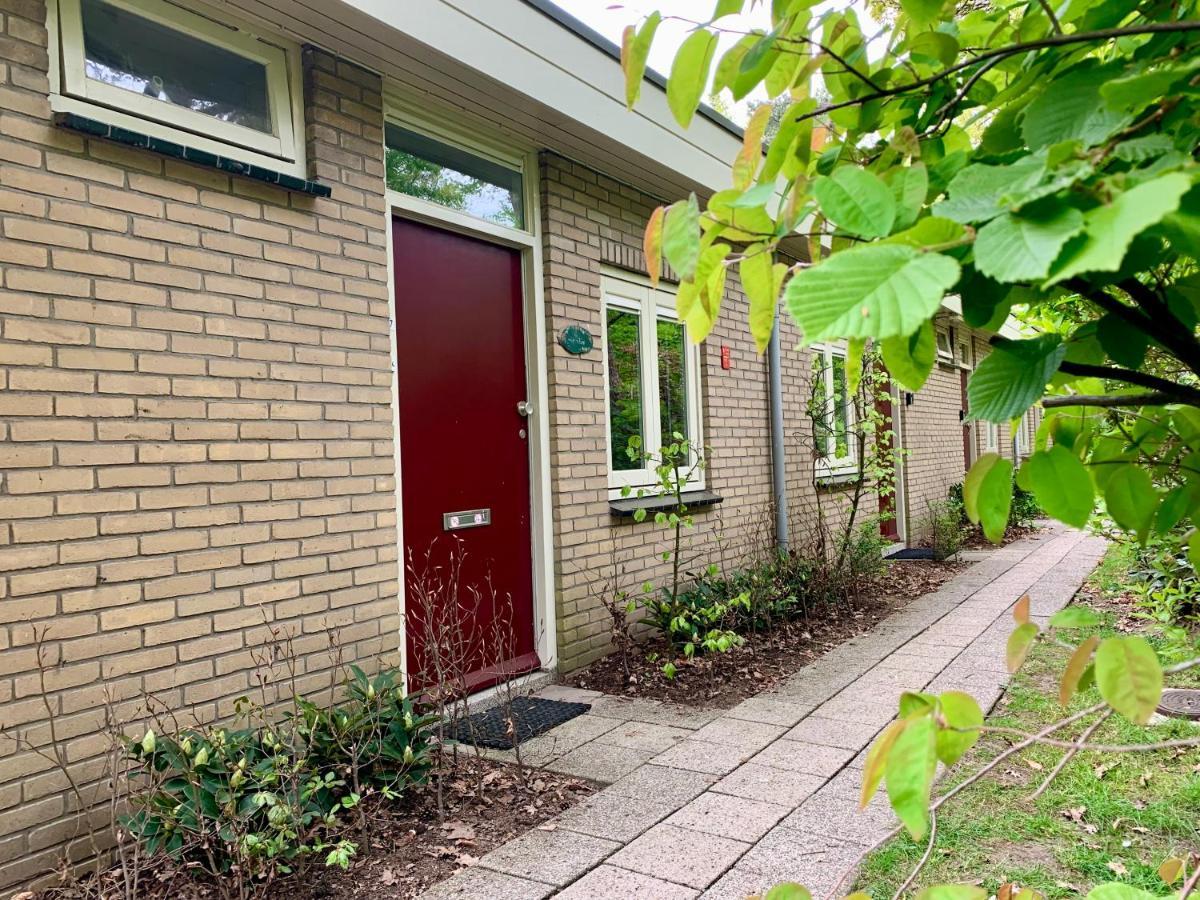 Wilde Moeflon, Geniet Van De Vrije Natuur! Otterlo Exterior foto