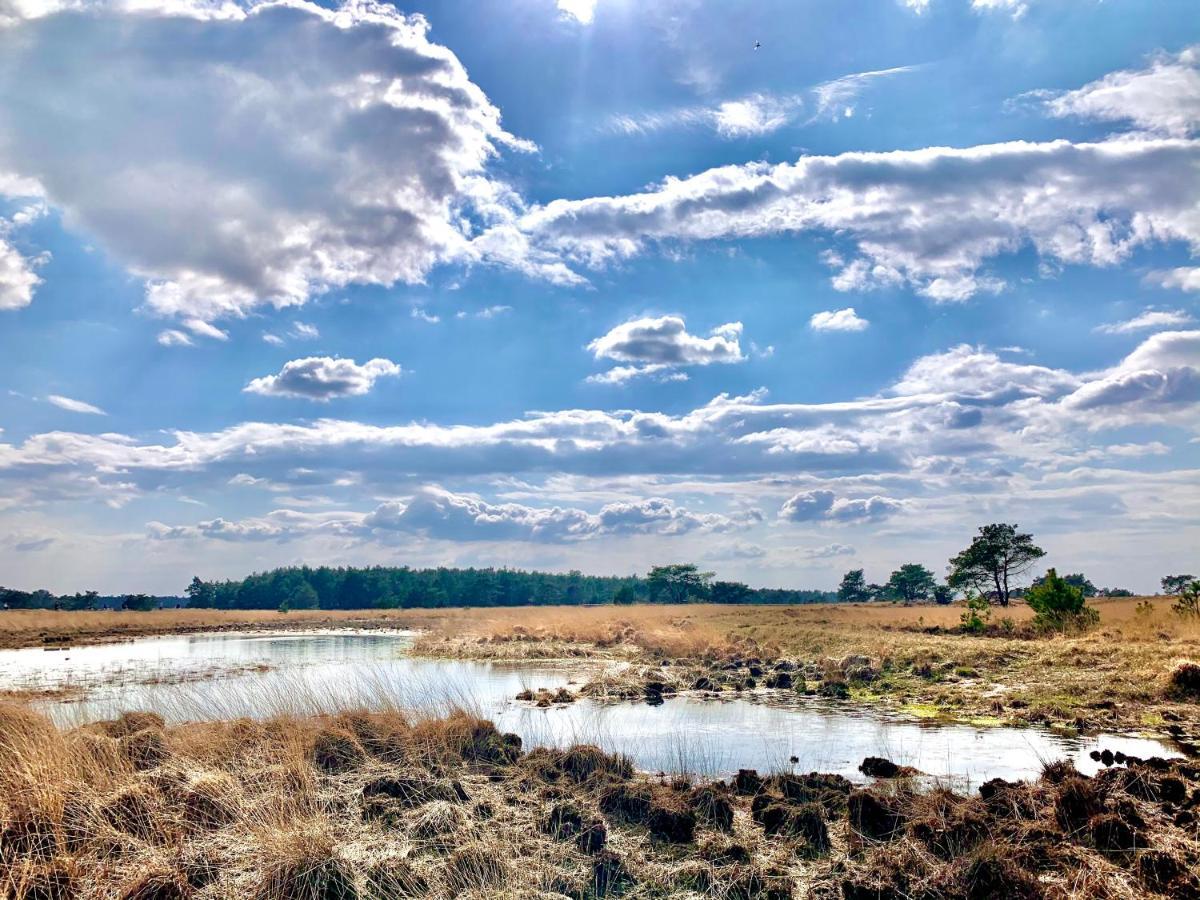 Wilde Moeflon, Geniet Van De Vrije Natuur! Otterlo Exterior foto