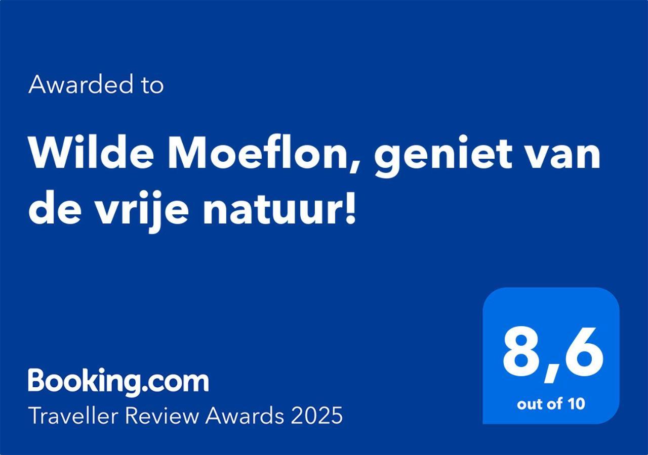 Wilde Moeflon, Geniet Van De Vrije Natuur! Otterlo Exterior foto